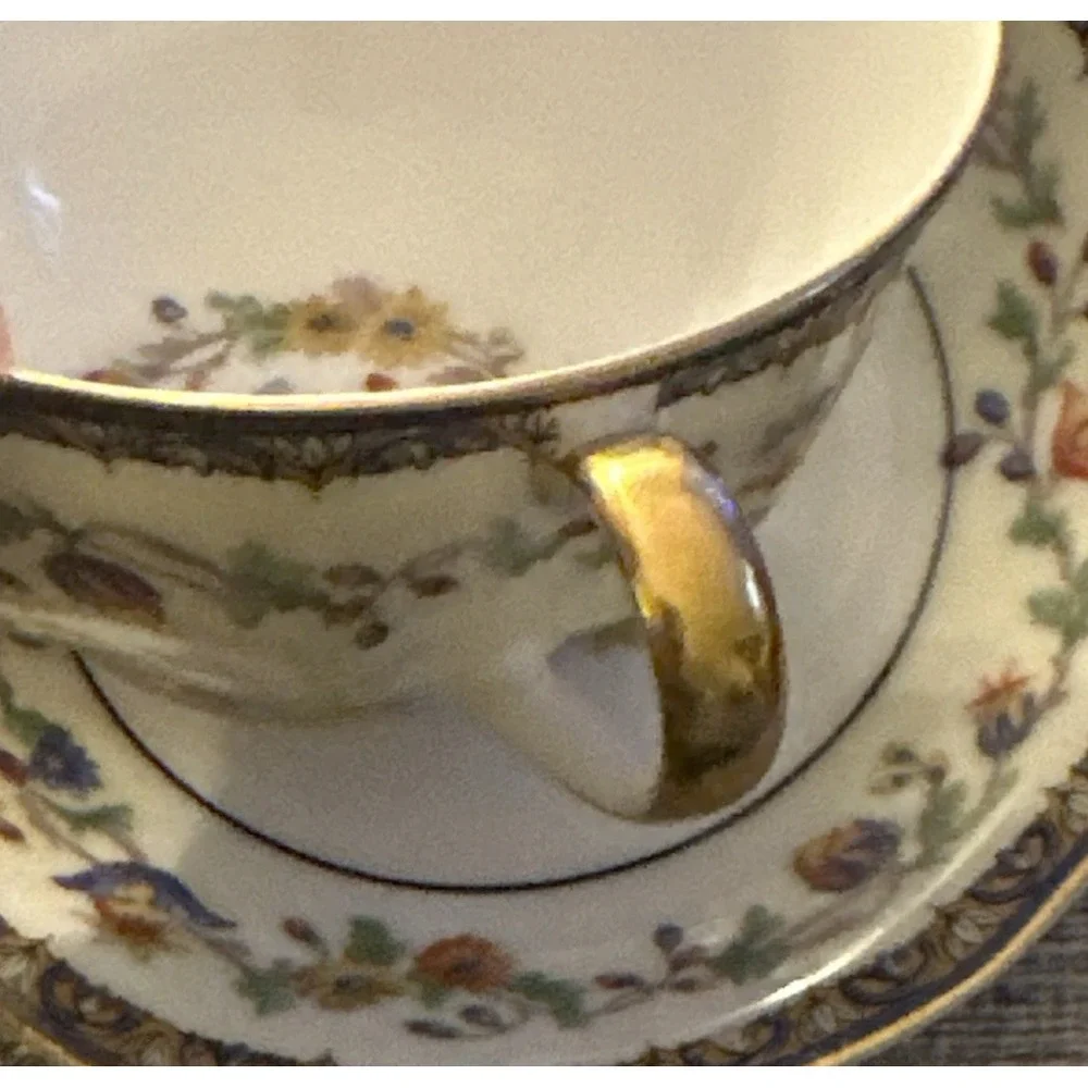 Theodore Haviland Limoges Chateaudun Cup & Saucer Set
